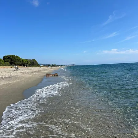 Di Mare Bignone *