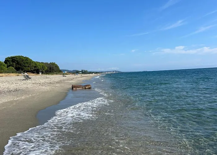Di Mare Bignone *